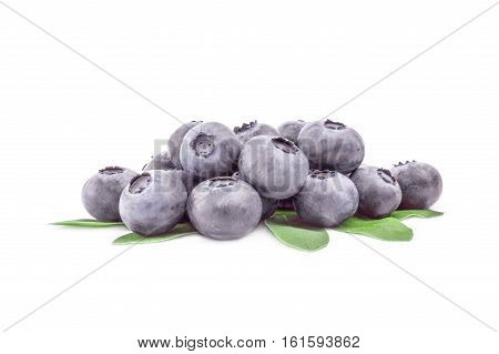 Blueberry isolated on a white background cutout