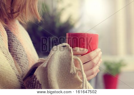 red mug with a warming drink in the hands of a blanket wrapped up against the window and tree / cozy domestic surroundings
