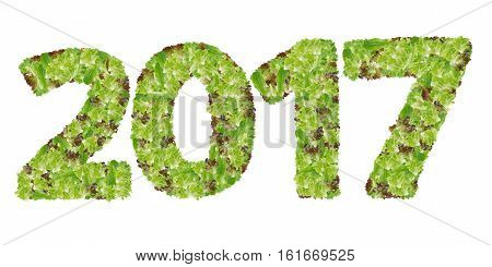Numbers 2017 made from hydroponics leaf vegetable isolated on white background