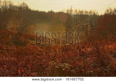 fog in the mystic valley on a winter morning