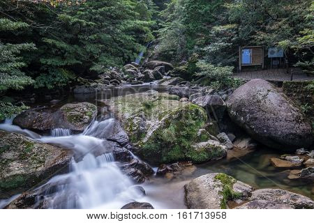 Yakushima: Shiratani Unsuikyo the famed forest which was used to create the Princess Mononoke movie