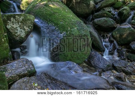 Yakushima: Shiratani Unsuikyo a long exposure river