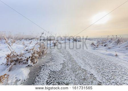 sunrise in winter. Location: Comana Natural Park Romania.