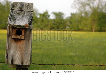 Birdhouse og felt