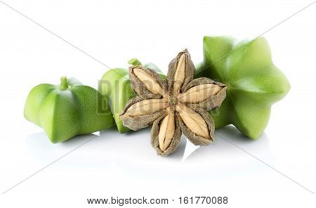 Sacha Inchi on white background fresh capsule seeds fruit of sacha-Inchi peanut