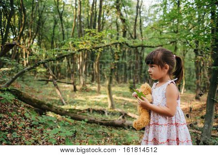 girl standing in the woods portrait of a girl in the woods.bear