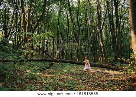 girl standing in the woods portrait of a girl in the woods.bear