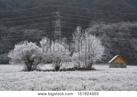 Trees covered in hoar frost near Tolmin in Primorska Slovenia.