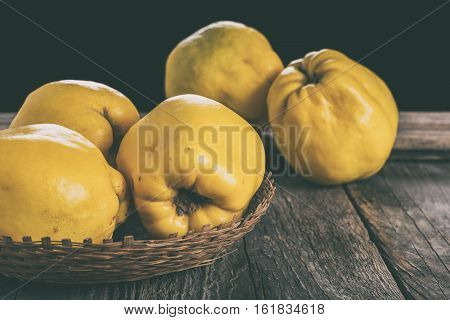 Quince fruit. Salubrious ripe yellow quince fruit