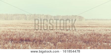 scenic winter landscape. view field with snow