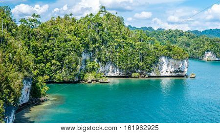 Rocks Landscape in Kabui Bay near Waigeo. West Papuan, Raja Ampat, Indonesia.