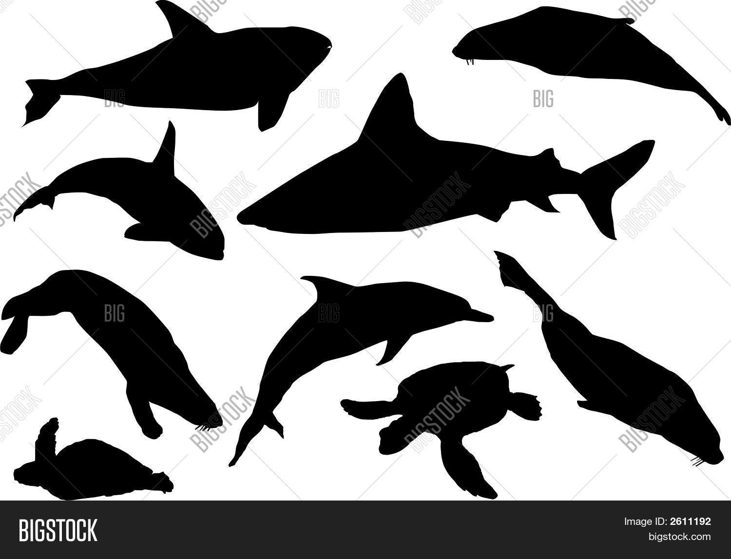 Sea Mammal Silhouettes Image &amp; Photo (Free Trial) | Bigstock