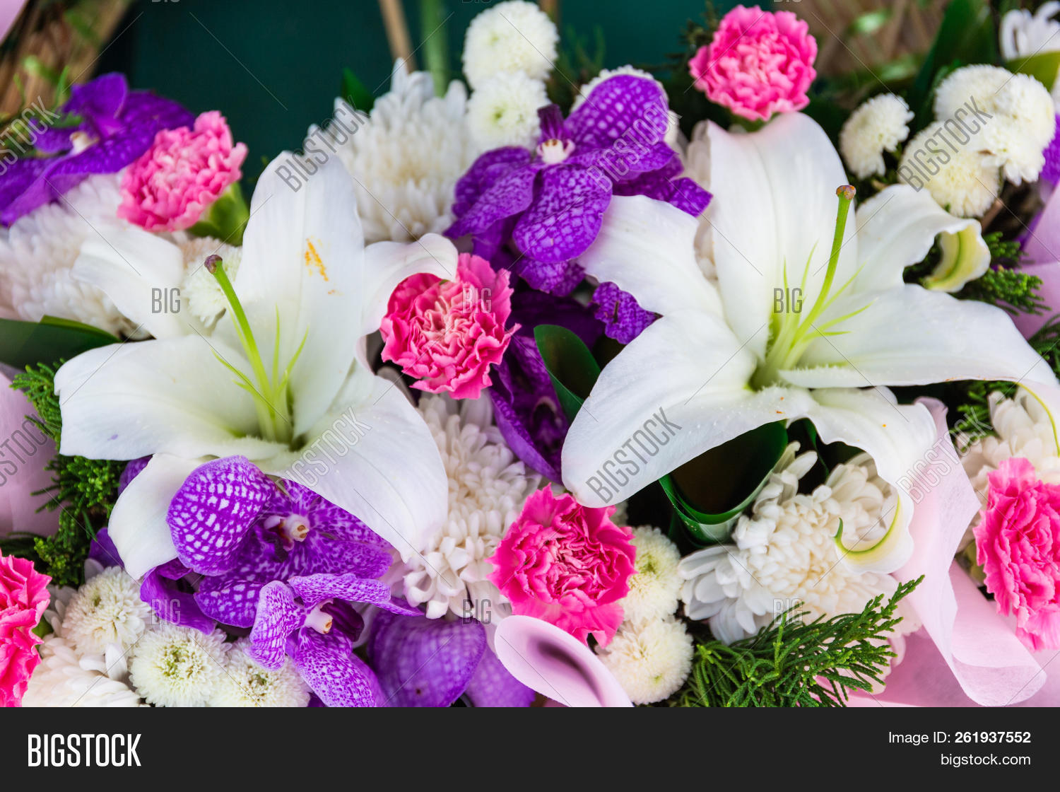 Group Colorful Flower Image & Photo (Free Trial) Bigstock