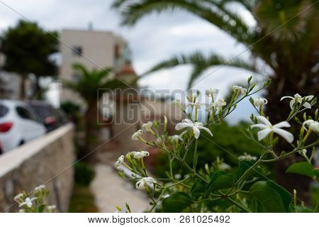 Las Casetas Del Garraf In Sitges, Barcelona, Catalonia.