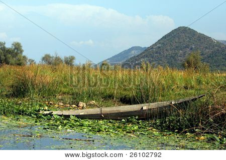  Czarnogóra. Jezioro Scutari (Szkoderskie).