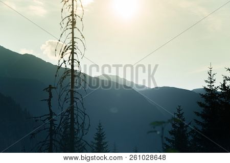 A Dreamy, Hazy Landscape Of A Mountains Close To Sunset. Sun Flase And Misty Look In Blue Tones. Mo