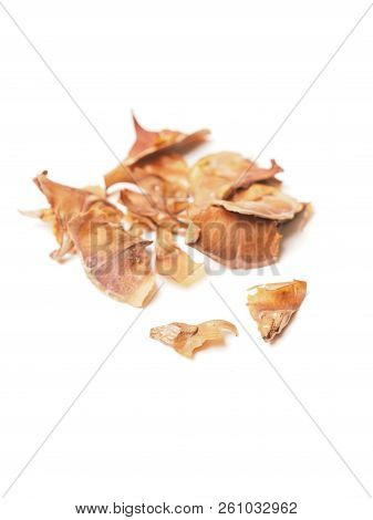 Seeds Of A Nordmann Fir Tree On A White Table
