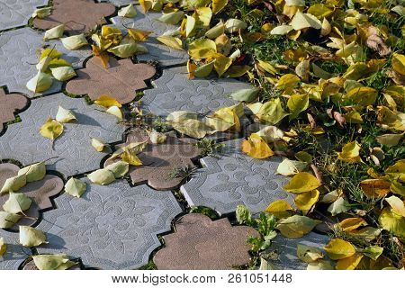Fallen Orange Leawes On Walkway Stones. Seasonal Background For Wallpaper Or Design.