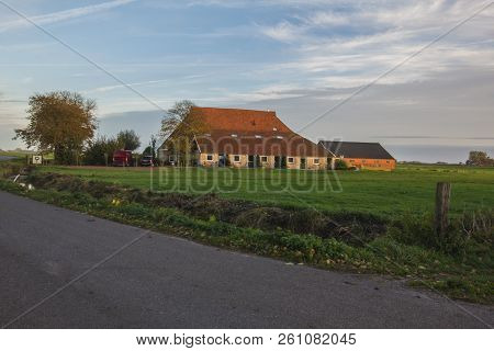 Typical Dutch Farm Of Friesland  In The Morning, Netherlands, Europe.