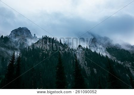 Mountain Landscape. Tien Shan. The Valley Of The River Left Talgar. Kazakhstan
