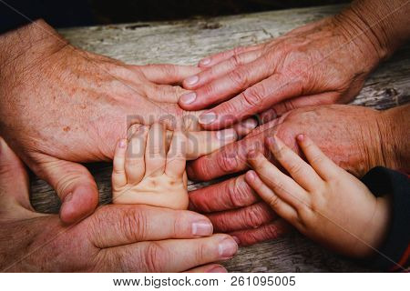 Grandparents And Kids Hands, Concept Of Family