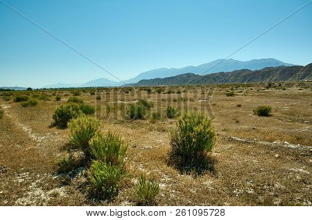 Naryn River Valley