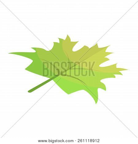 Green Maple Leaf Icon. Isometric Of Green Maple Leaf Vector Icon For Web Design Isolated On White Ba