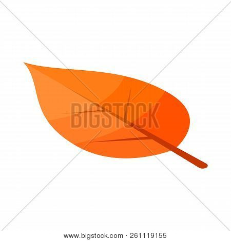 Poplar Yellow Tree Leaf Icon. Isometric Of Poplar Yellow Tree Leaf Vector Icon For Web Design Isolat