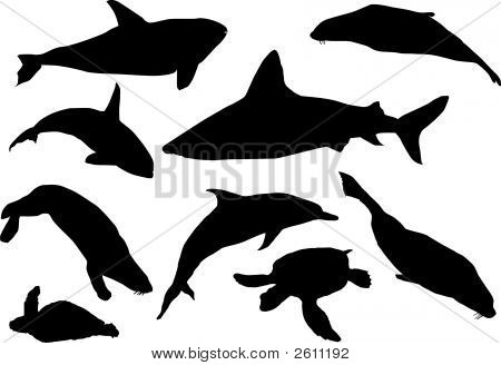 Sea Mammal Silhouettes Image &amp; Photo (Free Trial) | Bigstock