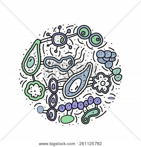 Bacteria Cells Set. Microorganism Collection Round Composition. Vector Doodle Style Objects Isolate 