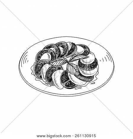 Vector Hand Drawn Caprese With Tomatoes And Basil. Dishes Of Italian Cuisine. Detailed Retro Style I