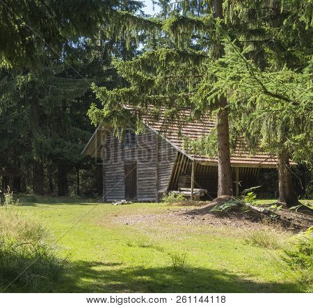 Old Wooden Mountain House Log Cabin Built From Wood In Spruce Tree Forest On Summer Sunny Day