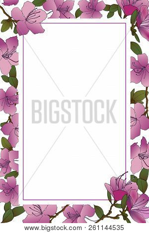 Design Of Label From Hand Sketched Of Rhododendron Ledebour. Vector Illustration Frame Of Pink Flowe