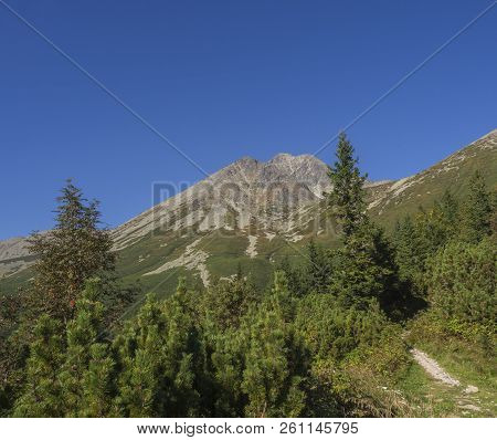 Tatra Mountains Range Gold Colored Sunrise Light , From Tatranska Lomnice With Green Trees And Grass