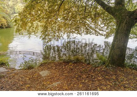 Autumn In The Park, Vibrant Colour, Beautiful Wiev.