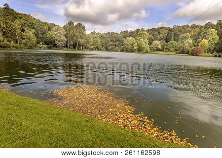 Autumn In The Park, Vibrant Colour, Beautiful Wiev.