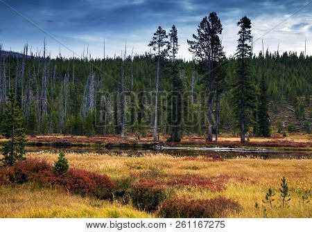 Lewis River During Fall Colors In Yellowstone National Park, Wyoming