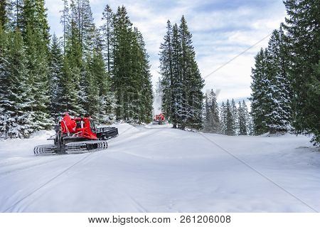 Winter Scenery With Two Red Snow Groomer Vehicles Going Through Snowy Road And Green Fir Forest, In 