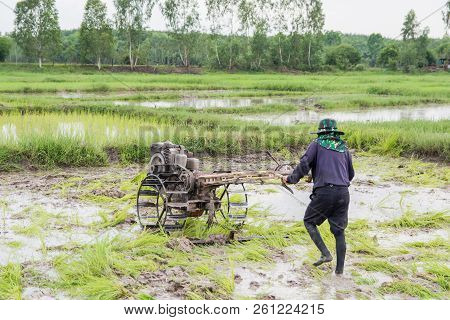 Plows Machine - Farmer Using Walking Tractor Plowing In Rice Field To Prepare The Area To Grow Rice.