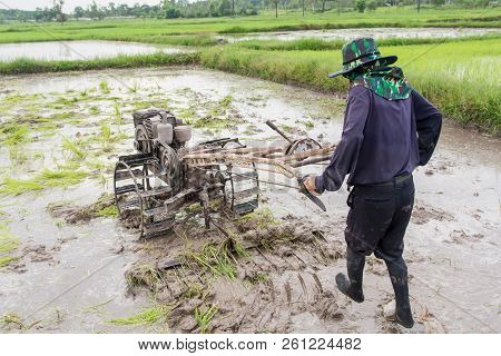 Plows Machine - Farmer Using Walking Tractor Plowing In Rice Field To Prepare The Area To Grow Rice.