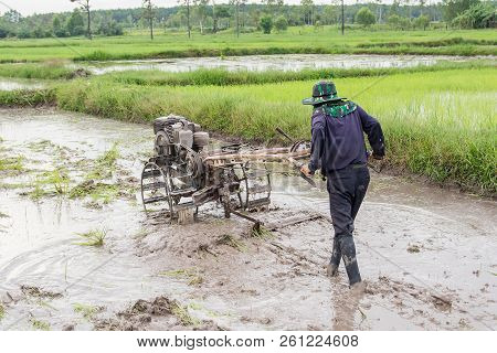 Plows Machine - Farmer Using Walking Tractor Plowing In Rice Field To Prepare The Area To Grow Rice.