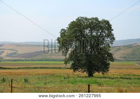 Ismailly One Of The Beautiful Regions Of Azerbaijan