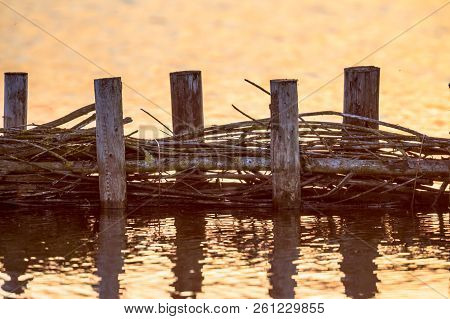 Ecological Willow Campshedding Bank Protection Against Water Waves To Create A Natural Ecological Zo