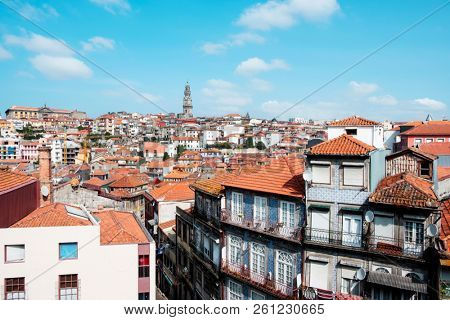 a panoramic view of the roofs of the old town of Porto, in Portugal, highlighting the Torre dos Clerigos, the belfry of the Clerigos Church, in the background