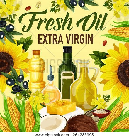 Natural Oil Made Of Sunflower Seeds, Olive And Corn, Peanuts And Linseed, Coconut And Rapse. Vector 