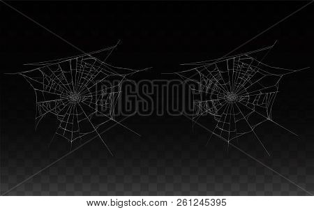 Vector Collection Of Realistic Cobweb, Spider Web Isolated On Dark Background. White Sticky, Scary E