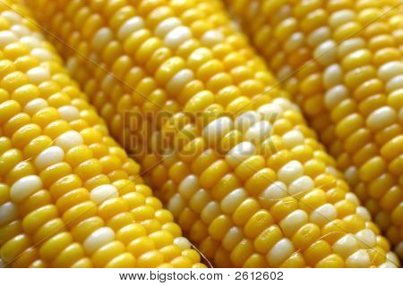 Corn On The Cob