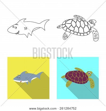 Vector Design Of Sea And Animal Icon. Set Of Sea And Marine Vector Icon For Stock.