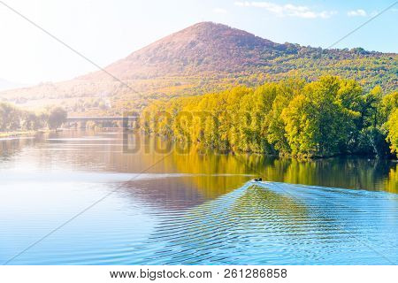 Radobyl Mountain In Ceske Stredohori, Central Bohemian Uplands. View From Labe River In Litomerice, 