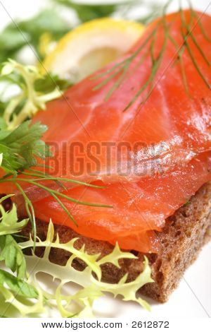 Salmon Sandwich